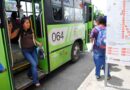 La vida también viaja en el «bus»