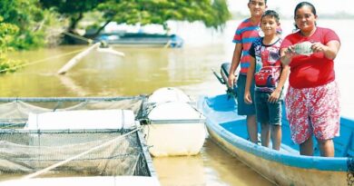 El renacer de pescadores