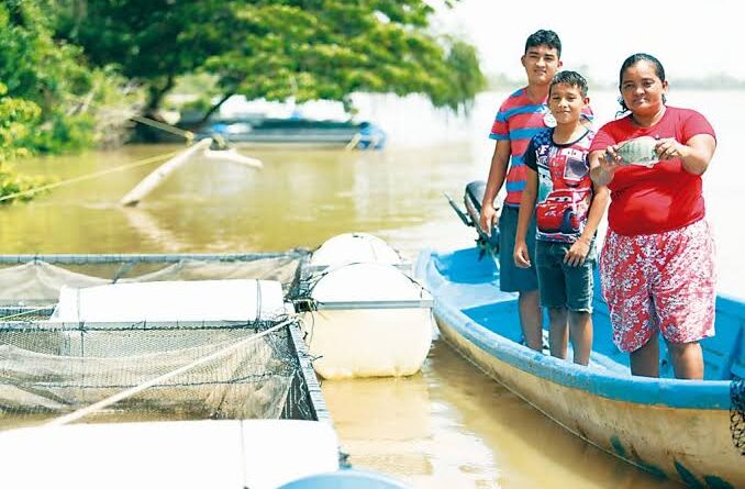 El renacer de pescadores