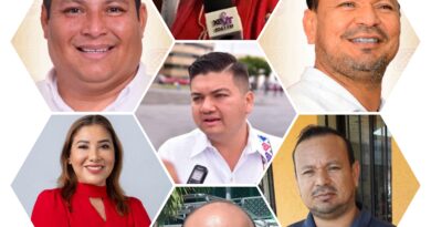 Alcaldes morenistas:  buscar o no reelección 